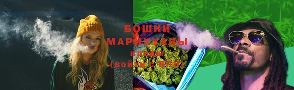 дурь Богданович