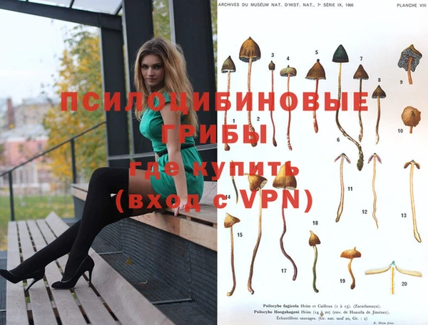 кокаин премиум Богородицк