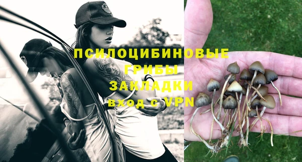 кокаин премиум Богородицк