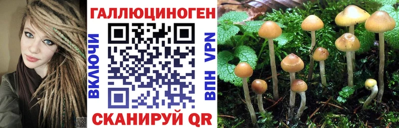 Псилоцибиновые грибы мухоморы Мосальск